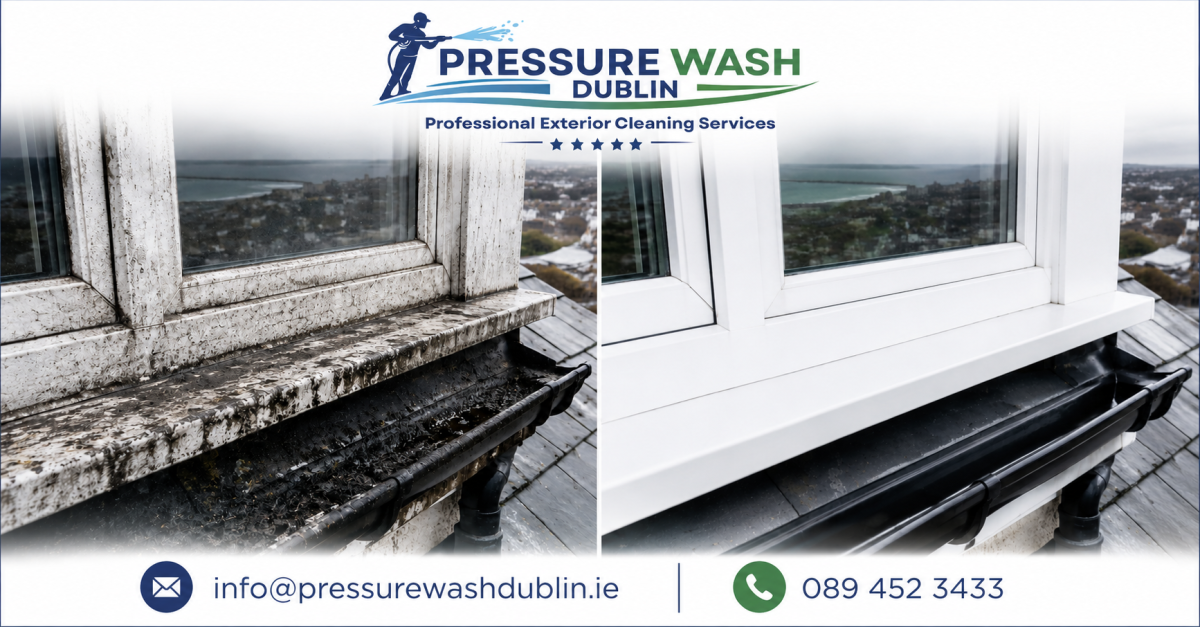 Professional Gutter and Window Cleaning in Dublin